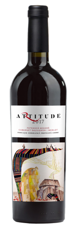 386861465_1418455948709131_5059883194148197208_n